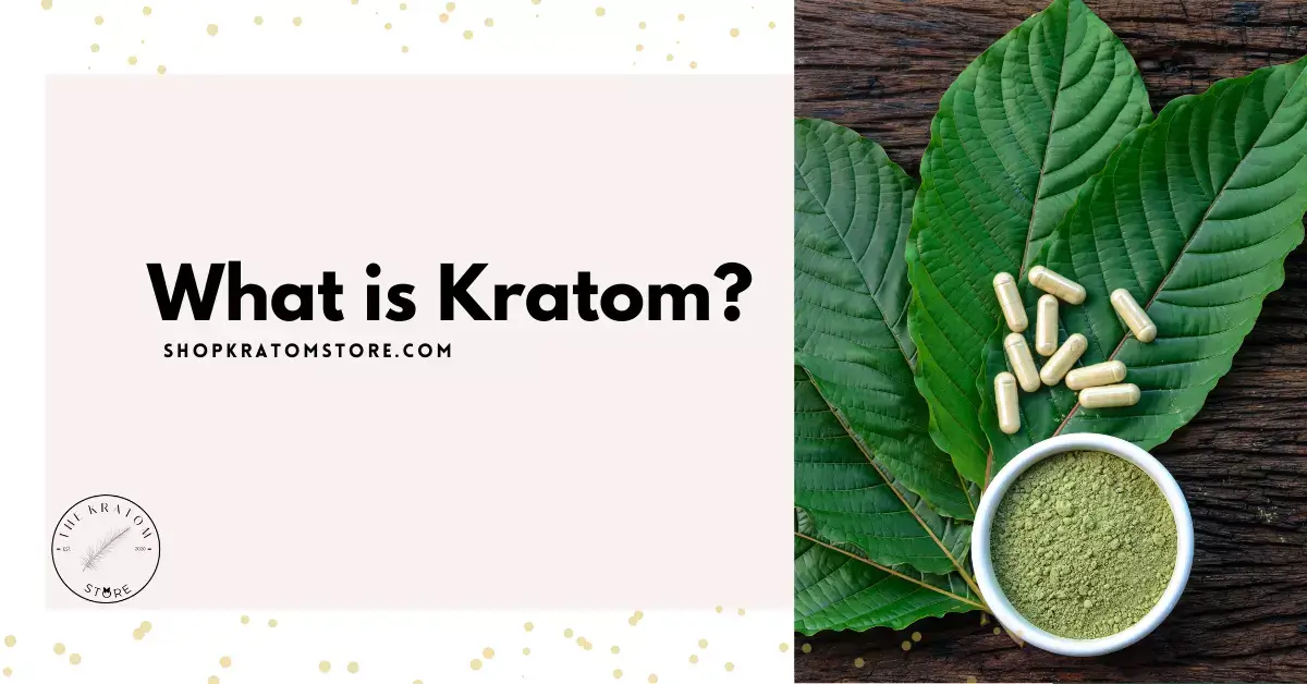 What are the effects and benefits of kratom?
