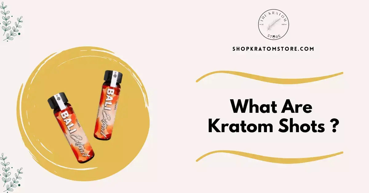 What is kratom and how does it differ from kratom capsules and powder?